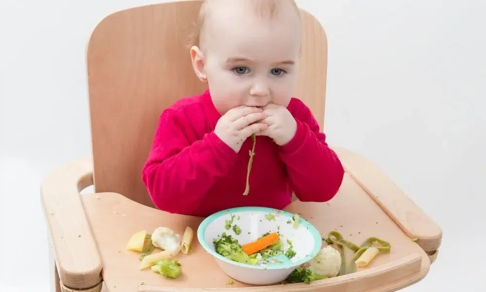 Un enfant assise sur une chaise haute évolutive